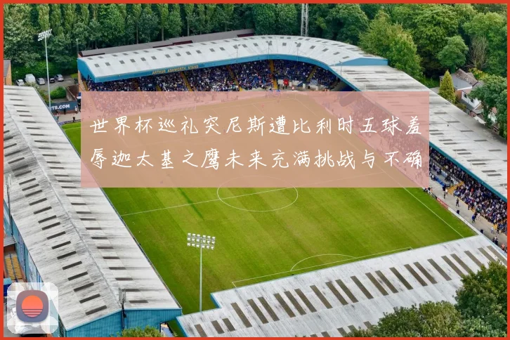 世界杯巡礼突尼斯遭比利时五球羞辱迦太基之鹰未来充满挑战与不确定性