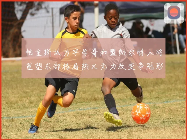 帕金斯认为字母哥加盟凯尔特人将重塑东部格局热火无力改变争冠形势
