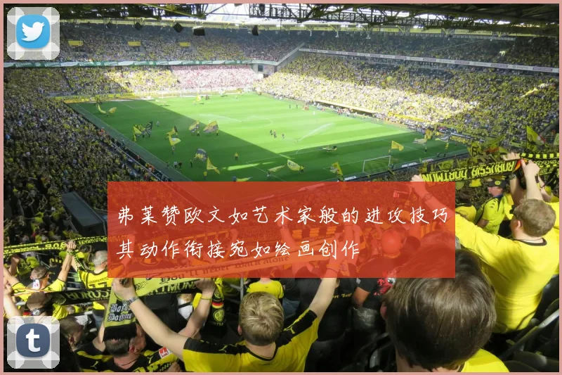 弗莱赞欧文如艺术家般的进攻技巧其动作衔接宛如绘画创作